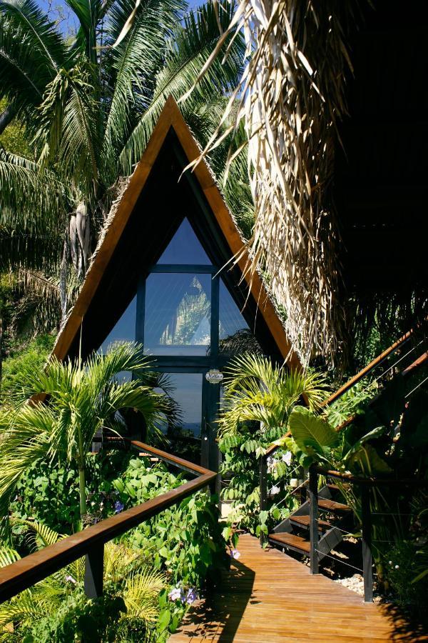 Bohemia Experience Villa Playa Santa Teresa  ภายนอก รูปภาพ
