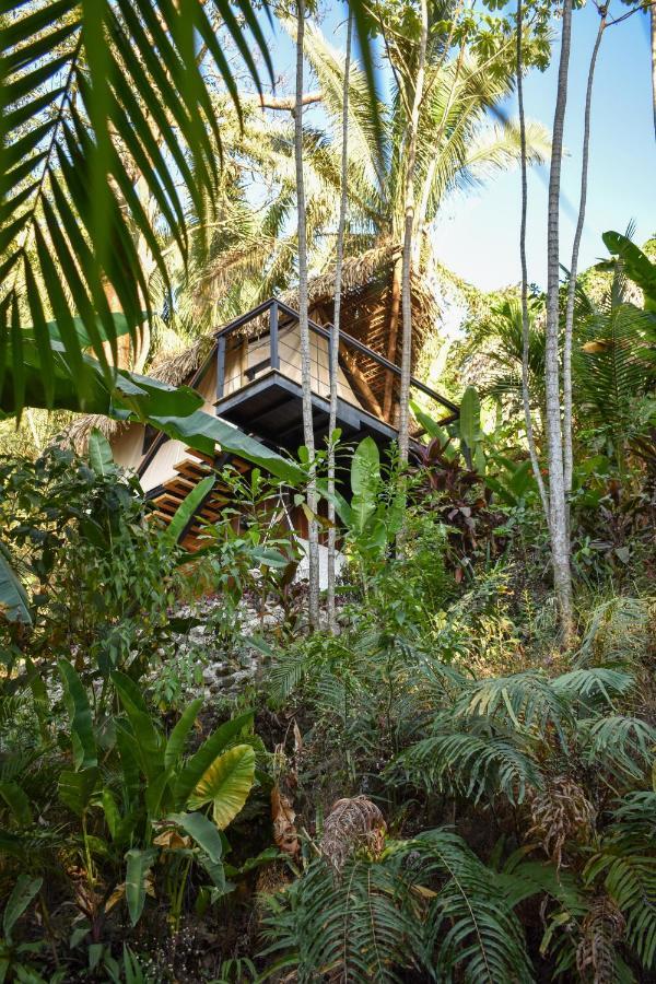 Bohemia Experience Villa Playa Santa Teresa  ภายนอก รูปภาพ